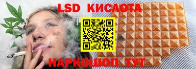 винт Новокубанск