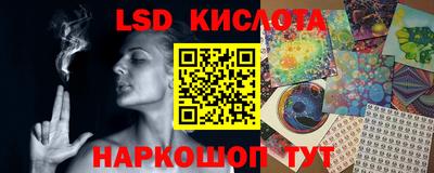 винт Новокубанск